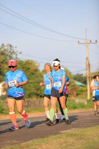 BIB: 6598, 625, 508
                            <button type="button" onclick="openModal(3419811)" class="btn btn-primary btn-sm float-right btn-popup" data-toggle="modal" data-target=".modal-high-quality">
                        <i class="fas fa-shopping-cart"></i> Add to Cart
                    </button>
                                            <button type="button" onclick="isThisMe(3419811, true)" class="btn btn-success btn-sm float-right btn-popup btn-isme hidden" data-toggle="tooltip" data-placement="bottom" title="นี่คือรูปของคุณใช่ไหม คลิกที่นี่เพื่อเอาเข้าอัลบั้ม">
                        <i class="fas fa-plus"></i> Add to album
                    </button>
                    <button type="button" onclick="isThisMe(3419811, false)" class="btn btn-warning btn-sm float-right btn-popup btn-isnotme hidden">
                        <i class="fas fa-ban"></i> Remove from album
                    </button>