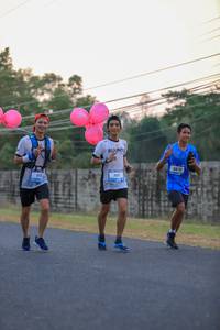 BIB: 
                            <button type="button" onclick="openModal(3427704)" class="btn btn-primary btn-sm float-right btn-popup" data-toggle="modal" data-target=".modal-high-quality">
                        <i class="fas fa-shopping-cart"></i> Add to Cart
                    </button>
                                            <button type="button" onclick="isThisMe(3427704, true)" class="btn btn-success btn-sm float-right btn-popup btn-isme hidden" data-toggle="tooltip" data-placement="bottom" title="นี่คือรูปของคุณใช่ไหม คลิกที่นี่เพื่อเอาเข้าอัลบั้ม">
                        <i class="fas fa-plus"></i> Add to album
                    </button>
                    <button type="button" onclick="isThisMe(3427704, false)" class="btn btn-warning btn-sm float-right btn-popup btn-isnotme hidden">
                        <i class="fas fa-ban"></i> Remove from album
                    </button>