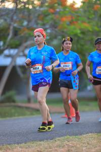 BIB: 8914, 962
                            <button type="button" onclick="openModal(3425318)" class="btn btn-primary btn-sm float-right btn-popup" data-toggle="modal" data-target=".modal-high-quality">
                        <i class="fas fa-shopping-cart"></i> Add to Cart
                    </button>
                                            <button type="button" onclick="isThisMe(3425318, true)" class="btn btn-success btn-sm float-right btn-popup btn-isme hidden" data-toggle="tooltip" data-placement="bottom" title="นี่คือรูปของคุณใช่ไหม คลิกที่นี่เพื่อเอาเข้าอัลบั้ม">
                        <i class="fas fa-plus"></i> Add to album
                    </button>
                    <button type="button" onclick="isThisMe(3425318, false)" class="btn btn-warning btn-sm float-right btn-popup btn-isnotme hidden">
                        <i class="fas fa-ban"></i> Remove from album
                    </button>