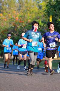 BIB: 46150, 6720, 6831
                            <button type="button" onclick="openModal(3149634)" class="btn btn-primary btn-sm float-right btn-popup" data-toggle="modal" data-target=".modal-high-quality">
                        <i class="fas fa-shopping-cart"></i> Add to Cart
                    </button>
                                            <button type="button" onclick="isThisMe(3149634, true)" class="btn btn-success btn-sm float-right btn-popup btn-isme hidden" data-toggle="tooltip" data-placement="bottom" title="นี่คือรูปของคุณใช่ไหม คลิกที่นี่เพื่อเอาเข้าอัลบั้ม">
                        <i class="fas fa-plus"></i> Add to album
                    </button>
                    <button type="button" onclick="isThisMe(3149634, false)" class="btn btn-warning btn-sm float-right btn-popup btn-isnotme hidden">
                        <i class="fas fa-ban"></i> Remove from album
                    </button>