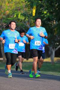 BIB: 6506, 6623
                            <button type="button" onclick="openModal(3138203)" class="btn btn-primary btn-sm float-right btn-popup" data-toggle="modal" data-target=".modal-high-quality">
                        <i class="fas fa-shopping-cart"></i> Add to Cart
                    </button>
                                            <button type="button" onclick="isThisMe(3138203, true)" class="btn btn-success btn-sm float-right btn-popup btn-isme hidden" data-toggle="tooltip" data-placement="bottom" title="นี่คือรูปของคุณใช่ไหม คลิกที่นี่เพื่อเอาเข้าอัลบั้ม">
                        <i class="fas fa-plus"></i> Add to album
                    </button>
                    <button type="button" onclick="isThisMe(3138203, false)" class="btn btn-warning btn-sm float-right btn-popup btn-isnotme hidden">
                        <i class="fas fa-ban"></i> Remove from album
                    </button>