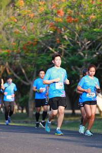 BIB: 6357
                            <button type="button" onclick="openModal(3137205)" class="btn btn-primary btn-sm float-right btn-popup" data-toggle="modal" data-target=".modal-high-quality">
                        <i class="fas fa-shopping-cart"></i> Add to Cart
                    </button>
                                            <button type="button" onclick="isThisMe(3137205, true)" class="btn btn-success btn-sm float-right btn-popup btn-isme hidden" data-toggle="tooltip" data-placement="bottom" title="นี่คือรูปของคุณใช่ไหม คลิกที่นี่เพื่อเอาเข้าอัลบั้ม">
                        <i class="fas fa-plus"></i> Add to album
                    </button>
                    <button type="button" onclick="isThisMe(3137205, false)" class="btn btn-warning btn-sm float-right btn-popup btn-isnotme hidden">
                        <i class="fas fa-ban"></i> Remove from album
                    </button>