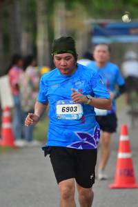 BIB: 6903
                            <button type="button" onclick="openModal(3474488)" class="btn btn-primary btn-sm float-right btn-popup" data-toggle="modal" data-target=".modal-high-quality">
                        <i class="fas fa-shopping-cart"></i> Add to Cart
                    </button>
                                            <button type="button" onclick="isThisMe(3474488, true)" class="btn btn-success btn-sm float-right btn-popup btn-isme hidden" data-toggle="tooltip" data-placement="bottom" title="นี่คือรูปของคุณใช่ไหม คลิกที่นี่เพื่อเอาเข้าอัลบั้ม">
                        <i class="fas fa-plus"></i> Add to album
                    </button>
                    <button type="button" onclick="isThisMe(3474488, false)" class="btn btn-warning btn-sm float-right btn-popup btn-isnotme hidden">
                        <i class="fas fa-ban"></i> Remove from album
                    </button>