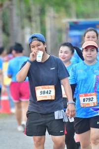 BIB: 9842, 8792
                            <button type="button" onclick="openModal(3484860)" class="btn btn-primary btn-sm float-right btn-popup" data-toggle="modal" data-target=".modal-high-quality">
                        <i class="fas fa-shopping-cart"></i> Add to Cart
                    </button>
                                            <button type="button" onclick="isThisMe(3484860, true)" class="btn btn-success btn-sm float-right btn-popup btn-isme hidden" data-toggle="tooltip" data-placement="bottom" title="นี่คือรูปของคุณใช่ไหม คลิกที่นี่เพื่อเอาเข้าอัลบั้ม">
                        <i class="fas fa-plus"></i> Add to album
                    </button>
                    <button type="button" onclick="isThisMe(3484860, false)" class="btn btn-warning btn-sm float-right btn-popup btn-isnotme hidden">
                        <i class="fas fa-ban"></i> Remove from album
                    </button>