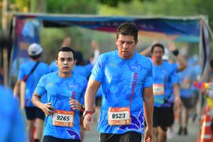BIB: 8523, 9265
                            <button type="button" onclick="openModal(3478193)" class="btn btn-primary btn-sm float-right btn-popup" data-toggle="modal" data-target=".modal-high-quality">
                        <i class="fas fa-shopping-cart"></i> Add to Cart
                    </button>
                                            <button type="button" onclick="isThisMe(3478193, true)" class="btn btn-success btn-sm float-right btn-popup btn-isme hidden" data-toggle="tooltip" data-placement="bottom" title="นี่คือรูปของคุณใช่ไหม คลิกที่นี่เพื่อเอาเข้าอัลบั้ม">
                        <i class="fas fa-plus"></i> Add to album
                    </button>
                    <button type="button" onclick="isThisMe(3478193, false)" class="btn btn-warning btn-sm float-right btn-popup btn-isnotme hidden">
                        <i class="fas fa-ban"></i> Remove from album
                    </button>