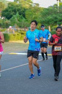 BIB: 9350
                            <button type="button" onclick="openModal(3482144)" class="btn btn-primary btn-sm float-right btn-popup" data-toggle="modal" data-target=".modal-high-quality">
                        <i class="fas fa-shopping-cart"></i> Add to Cart
                    </button>
                                            <button type="button" onclick="isThisMe(3482144, true)" class="btn btn-success btn-sm float-right btn-popup btn-isme hidden" data-toggle="tooltip" data-placement="bottom" title="นี่คือรูปของคุณใช่ไหม คลิกที่นี่เพื่อเอาเข้าอัลบั้ม">
                        <i class="fas fa-plus"></i> Add to album
                    </button>
                    <button type="button" onclick="isThisMe(3482144, false)" class="btn btn-warning btn-sm float-right btn-popup btn-isnotme hidden">
                        <i class="fas fa-ban"></i> Remove from album
                    </button>