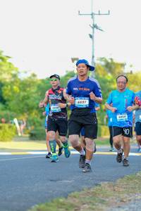 BIB: 6697, 6054
                            <button type="button" onclick="openModal(3474235)" class="btn btn-primary btn-sm float-right btn-popup" data-toggle="modal" data-target=".modal-high-quality">
                        <i class="fas fa-shopping-cart"></i> Add to Cart
                    </button>
                                            <button type="button" onclick="isThisMe(3474235, true)" class="btn btn-success btn-sm float-right btn-popup btn-isme hidden" data-toggle="tooltip" data-placement="bottom" title="นี่คือรูปของคุณใช่ไหม คลิกที่นี่เพื่อเอาเข้าอัลบั้ม">
                        <i class="fas fa-plus"></i> Add to album
                    </button>
                    <button type="button" onclick="isThisMe(3474235, false)" class="btn btn-warning btn-sm float-right btn-popup btn-isnotme hidden">
                        <i class="fas fa-ban"></i> Remove from album
                    </button>