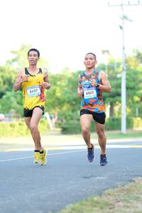 BIB: 6437, 6923
                            <button type="button" onclick="openModal(3166604)" class="btn btn-primary btn-sm float-right btn-popup" data-toggle="modal" data-target=".modal-high-quality">
                        <i class="fas fa-shopping-cart"></i> Add to Cart
                    </button>
                                            <button type="button" onclick="isThisMe(3166604, true)" class="btn btn-success btn-sm float-right btn-popup btn-isme hidden" data-toggle="tooltip" data-placement="bottom" title="นี่คือรูปของคุณใช่ไหม คลิกที่นี่เพื่อเอาเข้าอัลบั้ม">
                        <i class="fas fa-plus"></i> Add to album
                    </button>
                    <button type="button" onclick="isThisMe(3166604, false)" class="btn btn-warning btn-sm float-right btn-popup btn-isnotme hidden">
                        <i class="fas fa-ban"></i> Remove from album
                    </button>