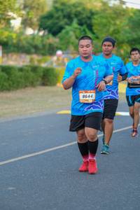 BIB: 8644
                            <button type="button" onclick="openModal(3482231)" class="btn btn-primary btn-sm float-right btn-popup" data-toggle="modal" data-target=".modal-high-quality">
                        <i class="fas fa-shopping-cart"></i> Add to Cart
                    </button>
                                            <button type="button" onclick="isThisMe(3482231, true)" class="btn btn-success btn-sm float-right btn-popup btn-isme hidden" data-toggle="tooltip" data-placement="bottom" title="นี่คือรูปของคุณใช่ไหม คลิกที่นี่เพื่อเอาเข้าอัลบั้ม">
                        <i class="fas fa-plus"></i> Add to album
                    </button>
                    <button type="button" onclick="isThisMe(3482231, false)" class="btn btn-warning btn-sm float-right btn-popup btn-isnotme hidden">
                        <i class="fas fa-ban"></i> Remove from album
                    </button>