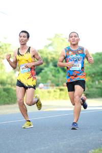 BIB: 923
                            <button type="button" onclick="openModal(3166978)" class="btn btn-primary btn-sm float-right btn-popup" data-toggle="modal" data-target=".modal-high-quality">
                        <i class="fas fa-shopping-cart"></i> Add to Cart
                    </button>
                                            <button type="button" onclick="isThisMe(3166978, true)" class="btn btn-success btn-sm float-right btn-popup btn-isme hidden" data-toggle="tooltip" data-placement="bottom" title="นี่คือรูปของคุณใช่ไหม คลิกที่นี่เพื่อเอาเข้าอัลบั้ม">
                        <i class="fas fa-plus"></i> Add to album
                    </button>
                    <button type="button" onclick="isThisMe(3166978, false)" class="btn btn-warning btn-sm float-right btn-popup btn-isnotme hidden">
                        <i class="fas fa-ban"></i> Remove from album
                    </button>