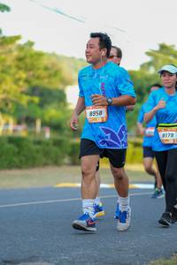 BIB: 8958, 8179
                            <button type="button" onclick="openModal(3481636)" class="btn btn-primary btn-sm float-right btn-popup" data-toggle="modal" data-target=".modal-high-quality">
                        <i class="fas fa-shopping-cart"></i> Add to Cart
                    </button>
                                            <button type="button" onclick="isThisMe(3481636, true)" class="btn btn-success btn-sm float-right btn-popup btn-isme hidden" data-toggle="tooltip" data-placement="bottom" title="นี่คือรูปของคุณใช่ไหม คลิกที่นี่เพื่อเอาเข้าอัลบั้ม">
                        <i class="fas fa-plus"></i> Add to album
                    </button>
                    <button type="button" onclick="isThisMe(3481636, false)" class="btn btn-warning btn-sm float-right btn-popup btn-isnotme hidden">
                        <i class="fas fa-ban"></i> Remove from album
                    </button>