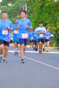 BIB: 
                            <button type="button" onclick="openModal(3414365)" class="btn btn-primary btn-sm float-right btn-popup" data-toggle="modal" data-target=".modal-high-quality">
                        <i class="fas fa-shopping-cart"></i> Add to Cart
                    </button>
                                            <button type="button" onclick="isThisMe(3414365, true)" class="btn btn-success btn-sm float-right btn-popup btn-isme hidden" data-toggle="tooltip" data-placement="bottom" title="นี่คือรูปของคุณใช่ไหม คลิกที่นี่เพื่อเอาเข้าอัลบั้ม">
                        <i class="fas fa-plus"></i> Add to album
                    </button>
                    <button type="button" onclick="isThisMe(3414365, false)" class="btn btn-warning btn-sm float-right btn-popup btn-isnotme hidden">
                        <i class="fas fa-ban"></i> Remove from album
                    </button>