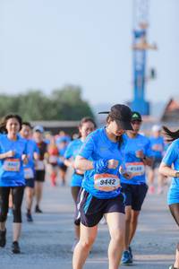 BIB: 9442
                            <button type="button" onclick="openModal(3202501)" class="btn btn-primary btn-sm float-right btn-popup" data-toggle="modal" data-target=".modal-high-quality">
                        <i class="fas fa-shopping-cart"></i> Add to Cart
                    </button>
                                            <button type="button" onclick="isThisMe(3202501, true)" class="btn btn-success btn-sm float-right btn-popup btn-isme hidden" data-toggle="tooltip" data-placement="bottom" title="นี่คือรูปของคุณใช่ไหม คลิกที่นี่เพื่อเอาเข้าอัลบั้ม">
                        <i class="fas fa-plus"></i> Add to album
                    </button>
                    <button type="button" onclick="isThisMe(3202501, false)" class="btn btn-warning btn-sm float-right btn-popup btn-isnotme hidden">
                        <i class="fas fa-ban"></i> Remove from album
                    </button>