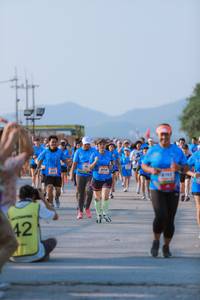 BIB: 
                            <button type="button" onclick="openModal(3201368)" class="btn btn-primary btn-sm float-right btn-popup" data-toggle="modal" data-target=".modal-high-quality">
                        <i class="fas fa-shopping-cart"></i> Add to Cart
                    </button>
                                            <button type="button" onclick="isThisMe(3201368, true)" class="btn btn-success btn-sm float-right btn-popup btn-isme hidden" data-toggle="tooltip" data-placement="bottom" title="นี่คือรูปของคุณใช่ไหม คลิกที่นี่เพื่อเอาเข้าอัลบั้ม">
                        <i class="fas fa-plus"></i> Add to album
                    </button>
                    <button type="button" onclick="isThisMe(3201368, false)" class="btn btn-warning btn-sm float-right btn-popup btn-isnotme hidden">
                        <i class="fas fa-ban"></i> Remove from album
                    </button>