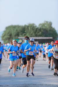 BIB: 8954, 
                            <button type="button" onclick="openModal(3201219)" class="btn btn-primary btn-sm float-right btn-popup" data-toggle="modal" data-target=".modal-high-quality">
                        <i class="fas fa-shopping-cart"></i> Add to Cart
                    </button>
                                            <button type="button" onclick="isThisMe(3201219, true)" class="btn btn-success btn-sm float-right btn-popup btn-isme hidden" data-toggle="tooltip" data-placement="bottom" title="นี่คือรูปของคุณใช่ไหม คลิกที่นี่เพื่อเอาเข้าอัลบั้ม">
                        <i class="fas fa-plus"></i> Add to album
                    </button>
                    <button type="button" onclick="isThisMe(3201219, false)" class="btn btn-warning btn-sm float-right btn-popup btn-isnotme hidden">
                        <i class="fas fa-ban"></i> Remove from album
                    </button>