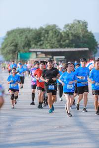 BIB: 
                            <button type="button" onclick="openModal(3191364)" class="btn btn-primary btn-sm float-right btn-popup" data-toggle="modal" data-target=".modal-high-quality">
                        <i class="fas fa-shopping-cart"></i> Add to Cart
                    </button>
                                            <button type="button" onclick="isThisMe(3191364, true)" class="btn btn-success btn-sm float-right btn-popup btn-isme hidden" data-toggle="tooltip" data-placement="bottom" title="นี่คือรูปของคุณใช่ไหม คลิกที่นี่เพื่อเอาเข้าอัลบั้ม">
                        <i class="fas fa-plus"></i> Add to album
                    </button>
                    <button type="button" onclick="isThisMe(3191364, false)" class="btn btn-warning btn-sm float-right btn-popup btn-isnotme hidden">
                        <i class="fas fa-ban"></i> Remove from album
                    </button>