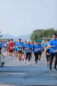 BIB: 
                            <button type="button" onclick="openModal(3202053)" class="btn btn-primary btn-sm float-right btn-popup" data-toggle="modal" data-target=".modal-high-quality">
                        <i class="fas fa-shopping-cart"></i> Add to Cart
                    </button>
                                            <button type="button" onclick="isThisMe(3202053, true)" class="btn btn-success btn-sm float-right btn-popup btn-isme hidden" data-toggle="tooltip" data-placement="bottom" title="นี่คือรูปของคุณใช่ไหม คลิกที่นี่เพื่อเอาเข้าอัลบั้ม">
                        <i class="fas fa-plus"></i> Add to album
                    </button>
                    <button type="button" onclick="isThisMe(3202053, false)" class="btn btn-warning btn-sm float-right btn-popup btn-isnotme hidden">
                        <i class="fas fa-ban"></i> Remove from album
                    </button>