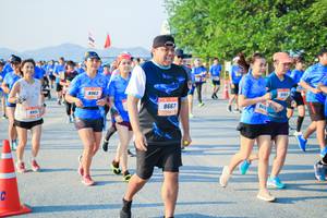 BIB: 8962, 5183, 8325, 8667
                            <button type="button" onclick="openModal(3489830)" class="btn btn-primary btn-sm float-right btn-popup" data-toggle="modal" data-target=".modal-high-quality">
                        <i class="fas fa-shopping-cart"></i> Add to Cart
                    </button>
                                            <button type="button" onclick="isThisMe(3489830, true)" class="btn btn-success btn-sm float-right btn-popup btn-isme hidden" data-toggle="tooltip" data-placement="bottom" title="นี่คือรูปของคุณใช่ไหม คลิกที่นี่เพื่อเอาเข้าอัลบั้ม">
                        <i class="fas fa-plus"></i> Add to album
                    </button>
                    <button type="button" onclick="isThisMe(3489830, false)" class="btn btn-warning btn-sm float-right btn-popup btn-isnotme hidden">
                        <i class="fas fa-ban"></i> Remove from album
                    </button>