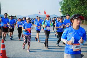 BIB: 9412, 889
                            <button type="button" onclick="openModal(3489842)" class="btn btn-primary btn-sm float-right btn-popup" data-toggle="modal" data-target=".modal-high-quality">
                        <i class="fas fa-shopping-cart"></i> Add to Cart
                    </button>
                                            <button type="button" onclick="isThisMe(3489842, true)" class="btn btn-success btn-sm float-right btn-popup btn-isme hidden" data-toggle="tooltip" data-placement="bottom" title="นี่คือรูปของคุณใช่ไหม คลิกที่นี่เพื่อเอาเข้าอัลบั้ม">
                        <i class="fas fa-plus"></i> Add to album
                    </button>
                    <button type="button" onclick="isThisMe(3489842, false)" class="btn btn-warning btn-sm float-right btn-popup btn-isnotme hidden">
                        <i class="fas fa-ban"></i> Remove from album
                    </button>