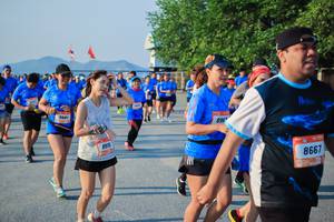 BIB: 8915, 8667
                            <button type="button" onclick="openModal(3489835)" class="btn btn-primary btn-sm float-right btn-popup" data-toggle="modal" data-target=".modal-high-quality">
                        <i class="fas fa-shopping-cart"></i> Add to Cart
                    </button>
                                            <button type="button" onclick="isThisMe(3489835, true)" class="btn btn-success btn-sm float-right btn-popup btn-isme hidden" data-toggle="tooltip" data-placement="bottom" title="นี่คือรูปของคุณใช่ไหม คลิกที่นี่เพื่อเอาเข้าอัลบั้ม">
                        <i class="fas fa-plus"></i> Add to album
                    </button>
                    <button type="button" onclick="isThisMe(3489835, false)" class="btn btn-warning btn-sm float-right btn-popup btn-isnotme hidden">
                        <i class="fas fa-ban"></i> Remove from album
                    </button>