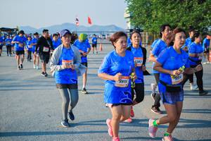 BIB: 
                            <button type="button" onclick="openModal(3489889)" class="btn btn-primary btn-sm float-right btn-popup" data-toggle="modal" data-target=".modal-high-quality">
                        <i class="fas fa-shopping-cart"></i> Add to Cart
                    </button>
                                            <button type="button" onclick="isThisMe(3489889, true)" class="btn btn-success btn-sm float-right btn-popup btn-isme hidden" data-toggle="tooltip" data-placement="bottom" title="นี่คือรูปของคุณใช่ไหม คลิกที่นี่เพื่อเอาเข้าอัลบั้ม">
                        <i class="fas fa-plus"></i> Add to album
                    </button>
                    <button type="button" onclick="isThisMe(3489889, false)" class="btn btn-warning btn-sm float-right btn-popup btn-isnotme hidden">
                        <i class="fas fa-ban"></i> Remove from album
                    </button>