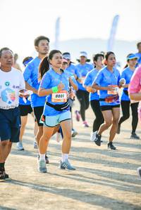 BIB: 8801
                            <button type="button" onclick="openModal(3513095)" class="btn btn-primary btn-sm float-right btn-popup" data-toggle="modal" data-target=".modal-high-quality">
                        <i class="fas fa-shopping-cart"></i> Add to Cart
                    </button>
                                            <button type="button" onclick="isThisMe(3513095, true)" class="btn btn-success btn-sm float-right btn-popup btn-isme hidden" data-toggle="tooltip" data-placement="bottom" title="นี่คือรูปของคุณใช่ไหม คลิกที่นี่เพื่อเอาเข้าอัลบั้ม">
                        <i class="fas fa-plus"></i> Add to album
                    </button>
                    <button type="button" onclick="isThisMe(3513095, false)" class="btn btn-warning btn-sm float-right btn-popup btn-isnotme hidden">
                        <i class="fas fa-ban"></i> Remove from album
                    </button>