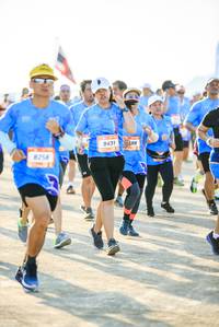 BIB: 9431, 8258
                            <button type="button" onclick="openModal(3513087)" class="btn btn-primary btn-sm float-right btn-popup" data-toggle="modal" data-target=".modal-high-quality">
                        <i class="fas fa-shopping-cart"></i> Add to Cart
                    </button>
                                            <button type="button" onclick="isThisMe(3513087, true)" class="btn btn-success btn-sm float-right btn-popup btn-isme hidden" data-toggle="tooltip" data-placement="bottom" title="นี่คือรูปของคุณใช่ไหม คลิกที่นี่เพื่อเอาเข้าอัลบั้ม">
                        <i class="fas fa-plus"></i> Add to album
                    </button>
                    <button type="button" onclick="isThisMe(3513087, false)" class="btn btn-warning btn-sm float-right btn-popup btn-isnotme hidden">
                        <i class="fas fa-ban"></i> Remove from album
                    </button>