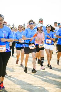 BIB: 8379, 267, 8189, 9910
                            <button type="button" onclick="openModal(3513054)" class="btn btn-primary btn-sm float-right btn-popup" data-toggle="modal" data-target=".modal-high-quality">
                        <i class="fas fa-shopping-cart"></i> Add to Cart
                    </button>
                                            <button type="button" onclick="isThisMe(3513054, true)" class="btn btn-success btn-sm float-right btn-popup btn-isme hidden" data-toggle="tooltip" data-placement="bottom" title="นี่คือรูปของคุณใช่ไหม คลิกที่นี่เพื่อเอาเข้าอัลบั้ม">
                        <i class="fas fa-plus"></i> Add to album
                    </button>
                    <button type="button" onclick="isThisMe(3513054, false)" class="btn btn-warning btn-sm float-right btn-popup btn-isnotme hidden">
                        <i class="fas fa-ban"></i> Remove from album
                    </button>