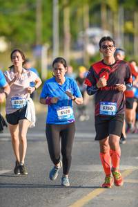 BIB: 6530, 6760, 6528
                            <button type="button" onclick="openModal(3329572)" class="btn btn-primary btn-sm float-right btn-popup" data-toggle="modal" data-target=".modal-high-quality">
                        <i class="fas fa-shopping-cart"></i> Add to Cart
                    </button>
                                            <button type="button" onclick="isThisMe(3329572, true)" class="btn btn-success btn-sm float-right btn-popup btn-isme hidden" data-toggle="tooltip" data-placement="bottom" title="นี่คือรูปของคุณใช่ไหม คลิกที่นี่เพื่อเอาเข้าอัลบั้ม">
                        <i class="fas fa-plus"></i> Add to album
                    </button>
                    <button type="button" onclick="isThisMe(3329572, false)" class="btn btn-warning btn-sm float-right btn-popup btn-isnotme hidden">
                        <i class="fas fa-ban"></i> Remove from album
                    </button>