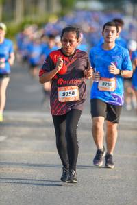 BIB: 8716, 9350
                            <button type="button" onclick="openModal(3334073)" class="btn btn-primary btn-sm float-right btn-popup" data-toggle="modal" data-target=".modal-high-quality">
                        <i class="fas fa-shopping-cart"></i> Add to Cart
                    </button>
                                            <button type="button" onclick="isThisMe(3334073, true)" class="btn btn-success btn-sm float-right btn-popup btn-isme hidden" data-toggle="tooltip" data-placement="bottom" title="นี่คือรูปของคุณใช่ไหม คลิกที่นี่เพื่อเอาเข้าอัลบั้ม">
                        <i class="fas fa-plus"></i> Add to album
                    </button>
                    <button type="button" onclick="isThisMe(3334073, false)" class="btn btn-warning btn-sm float-right btn-popup btn-isnotme hidden">
                        <i class="fas fa-ban"></i> Remove from album
                    </button>