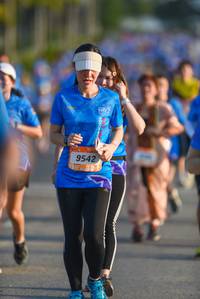 BIB: 9542
                            <button type="button" onclick="openModal(3332607)" class="btn btn-primary btn-sm float-right btn-popup" data-toggle="modal" data-target=".modal-high-quality">
                        <i class="fas fa-shopping-cart"></i> Add to Cart
                    </button>
                                            <button type="button" onclick="isThisMe(3332607, true)" class="btn btn-success btn-sm float-right btn-popup btn-isme hidden" data-toggle="tooltip" data-placement="bottom" title="นี่คือรูปของคุณใช่ไหม คลิกที่นี่เพื่อเอาเข้าอัลบั้ม">
                        <i class="fas fa-plus"></i> Add to album
                    </button>
                    <button type="button" onclick="isThisMe(3332607, false)" class="btn btn-warning btn-sm float-right btn-popup btn-isnotme hidden">
                        <i class="fas fa-ban"></i> Remove from album
                    </button>