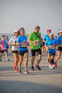 BIB: 8061
                            <button type="button" onclick="openModal(3264684)" class="btn btn-primary btn-sm float-right btn-popup" data-toggle="modal" data-target=".modal-high-quality">
                        <i class="fas fa-shopping-cart"></i> Add to Cart
                    </button>
                                            <button type="button" onclick="isThisMe(3264684, true)" class="btn btn-success btn-sm float-right btn-popup btn-isme hidden" data-toggle="tooltip" data-placement="bottom" title="นี่คือรูปของคุณใช่ไหม คลิกที่นี่เพื่อเอาเข้าอัลบั้ม">
                        <i class="fas fa-plus"></i> Add to album
                    </button>
                    <button type="button" onclick="isThisMe(3264684, false)" class="btn btn-warning btn-sm float-right btn-popup btn-isnotme hidden">
                        <i class="fas fa-ban"></i> Remove from album
                    </button>