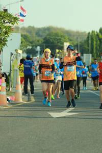 BIB: 7236, 
                            <button type="button" onclick="openModal(3181831)" class="btn btn-primary btn-sm float-right btn-popup" data-toggle="modal" data-target=".modal-high-quality">
                        <i class="fas fa-shopping-cart"></i> Add to Cart
                    </button>
                                            <button type="button" onclick="isThisMe(3181831, true)" class="btn btn-success btn-sm float-right btn-popup btn-isme hidden" data-toggle="tooltip" data-placement="bottom" title="นี่คือรูปของคุณใช่ไหม คลิกที่นี่เพื่อเอาเข้าอัลบั้ม">
                        <i class="fas fa-plus"></i> Add to album
                    </button>
                    <button type="button" onclick="isThisMe(3181831, false)" class="btn btn-warning btn-sm float-right btn-popup btn-isnotme hidden">
                        <i class="fas fa-ban"></i> Remove from album
                    </button>