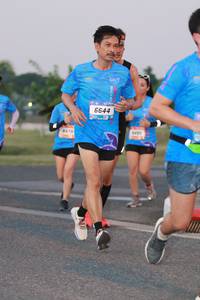 BIB: 6644, 479
                            <button type="button" onclick="openModal(3213774)" class="btn btn-primary btn-sm float-right btn-popup" data-toggle="modal" data-target=".modal-high-quality">
                        <i class="fas fa-shopping-cart"></i> Add to Cart
                    </button>
                                            <button type="button" onclick="isThisMe(3213774, true)" class="btn btn-success btn-sm float-right btn-popup btn-isme hidden" data-toggle="tooltip" data-placement="bottom" title="นี่คือรูปของคุณใช่ไหม คลิกที่นี่เพื่อเอาเข้าอัลบั้ม">
                        <i class="fas fa-plus"></i> Add to album
                    </button>
                    <button type="button" onclick="isThisMe(3213774, false)" class="btn btn-warning btn-sm float-right btn-popup btn-isnotme hidden">
                        <i class="fas fa-ban"></i> Remove from album
                    </button>