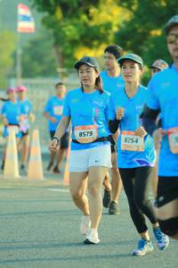 BIB: 8579, 8254
                            <button type="button" onclick="openModal(3223344)" class="btn btn-primary btn-sm float-right btn-popup" data-toggle="modal" data-target=".modal-high-quality">
                        <i class="fas fa-shopping-cart"></i> Add to Cart
                    </button>
                                            <button type="button" onclick="isThisMe(3223344, true)" class="btn btn-success btn-sm float-right btn-popup btn-isme hidden" data-toggle="tooltip" data-placement="bottom" title="นี่คือรูปของคุณใช่ไหม คลิกที่นี่เพื่อเอาเข้าอัลบั้ม">
                        <i class="fas fa-plus"></i> Add to album
                    </button>
                    <button type="button" onclick="isThisMe(3223344, false)" class="btn btn-warning btn-sm float-right btn-popup btn-isnotme hidden">
                        <i class="fas fa-ban"></i> Remove from album
                    </button>