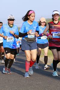 BIB: 668, 604, 206, 6039
                            <button type="button" onclick="openModal(3177855)" class="btn btn-primary btn-sm float-right btn-popup" data-toggle="modal" data-target=".modal-high-quality">
                        <i class="fas fa-shopping-cart"></i> Add to Cart
                    </button>
                                            <button type="button" onclick="isThisMe(3177855, true)" class="btn btn-success btn-sm float-right btn-popup btn-isme hidden" data-toggle="tooltip" data-placement="bottom" title="นี่คือรูปของคุณใช่ไหม คลิกที่นี่เพื่อเอาเข้าอัลบั้ม">
                        <i class="fas fa-plus"></i> Add to album
                    </button>
                    <button type="button" onclick="isThisMe(3177855, false)" class="btn btn-warning btn-sm float-right btn-popup btn-isnotme hidden">
                        <i class="fas fa-ban"></i> Remove from album
                    </button>