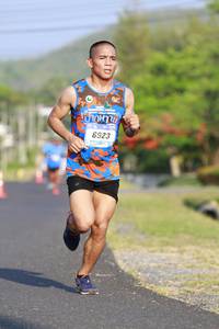 BIB: 6923
                            <button type="button" onclick="openModal(3170387)" class="btn btn-primary btn-sm float-right btn-popup" data-toggle="modal" data-target=".modal-high-quality">
                        <i class="fas fa-shopping-cart"></i> Add to Cart
                    </button>
                                            <button type="button" onclick="isThisMe(3170387, true)" class="btn btn-success btn-sm float-right btn-popup btn-isme hidden" data-toggle="tooltip" data-placement="bottom" title="นี่คือรูปของคุณใช่ไหม คลิกที่นี่เพื่อเอาเข้าอัลบั้ม">
                        <i class="fas fa-plus"></i> Add to album
                    </button>
                    <button type="button" onclick="isThisMe(3170387, false)" class="btn btn-warning btn-sm float-right btn-popup btn-isnotme hidden">
                        <i class="fas fa-ban"></i> Remove from album
                    </button>