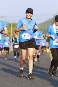 BIB: 6518, 650
                            <button type="button" onclick="openModal(3178034)" class="btn btn-primary btn-sm float-right btn-popup" data-toggle="modal" data-target=".modal-high-quality">
                        <i class="fas fa-shopping-cart"></i> Add to Cart
                    </button>
                                            <button type="button" onclick="isThisMe(3178034, true)" class="btn btn-success btn-sm float-right btn-popup btn-isme hidden" data-toggle="tooltip" data-placement="bottom" title="นี่คือรูปของคุณใช่ไหม คลิกที่นี่เพื่อเอาเข้าอัลบั้ม">
                        <i class="fas fa-plus"></i> Add to album
                    </button>
                    <button type="button" onclick="isThisMe(3178034, false)" class="btn btn-warning btn-sm float-right btn-popup btn-isnotme hidden">
                        <i class="fas fa-ban"></i> Remove from album
                    </button>