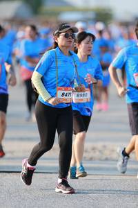 BIB: 8471, 8980
                            <button type="button" onclick="openModal(3459831)" class="btn btn-primary btn-sm float-right btn-popup" data-toggle="modal" data-target=".modal-high-quality">
                        <i class="fas fa-shopping-cart"></i> Add to Cart
                    </button>
                                            <button type="button" onclick="isThisMe(3459831, true)" class="btn btn-success btn-sm float-right btn-popup btn-isme hidden" data-toggle="tooltip" data-placement="bottom" title="นี่คือรูปของคุณใช่ไหม คลิกที่นี่เพื่อเอาเข้าอัลบั้ม">
                        <i class="fas fa-plus"></i> Add to album
                    </button>
                    <button type="button" onclick="isThisMe(3459831, false)" class="btn btn-warning btn-sm float-right btn-popup btn-isnotme hidden">
                        <i class="fas fa-ban"></i> Remove from album
                    </button>