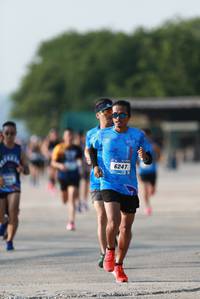 BIB: 6247
                            <button type="button" onclick="openModal(3182731)" class="btn btn-primary btn-sm float-right btn-popup" data-toggle="modal" data-target=".modal-high-quality">
                        <i class="fas fa-shopping-cart"></i> Add to Cart
                    </button>
                                            <button type="button" onclick="isThisMe(3182731, true)" class="btn btn-success btn-sm float-right btn-popup btn-isme hidden" data-toggle="tooltip" data-placement="bottom" title="นี่คือรูปของคุณใช่ไหม คลิกที่นี่เพื่อเอาเข้าอัลบั้ม">
                        <i class="fas fa-plus"></i> Add to album
                    </button>
                    <button type="button" onclick="isThisMe(3182731, false)" class="btn btn-warning btn-sm float-right btn-popup btn-isnotme hidden">
                        <i class="fas fa-ban"></i> Remove from album
                    </button>