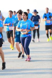 BIB: 8300
                            <button type="button" onclick="openModal(3114304)" class="btn btn-primary btn-sm float-right btn-popup" data-toggle="modal" data-target=".modal-high-quality">
                        <i class="fas fa-shopping-cart"></i> Add to Cart
                    </button>
                                            <button type="button" onclick="isThisMe(3114304, true)" class="btn btn-success btn-sm float-right btn-popup btn-isme hidden" data-toggle="tooltip" data-placement="bottom" title="นี่คือรูปของคุณใช่ไหม คลิกที่นี่เพื่อเอาเข้าอัลบั้ม">
                        <i class="fas fa-plus"></i> Add to album
                    </button>
                    <button type="button" onclick="isThisMe(3114304, false)" class="btn btn-warning btn-sm float-right btn-popup btn-isnotme hidden">
                        <i class="fas fa-ban"></i> Remove from album
                    </button>