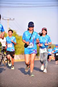 BIB: 558, 336
                            <button type="button" onclick="openModal(3101208)" class="btn btn-primary btn-sm float-right btn-popup" data-toggle="modal" data-target=".modal-high-quality">
                        <i class="fas fa-shopping-cart"></i> Add to Cart
                    </button>
                                            <button type="button" onclick="isThisMe(3101208, true)" class="btn btn-success btn-sm float-right btn-popup btn-isme hidden" data-toggle="tooltip" data-placement="bottom" title="นี่คือรูปของคุณใช่ไหม คลิกที่นี่เพื่อเอาเข้าอัลบั้ม">
                        <i class="fas fa-plus"></i> Add to album
                    </button>
                    <button type="button" onclick="isThisMe(3101208, false)" class="btn btn-warning btn-sm float-right btn-popup btn-isnotme hidden">
                        <i class="fas fa-ban"></i> Remove from album
                    </button>