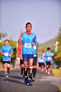 BIB: 7221
                            <button type="button" onclick="openModal(3097391)" class="btn btn-primary btn-sm float-right btn-popup" data-toggle="modal" data-target=".modal-high-quality">
                        <i class="fas fa-shopping-cart"></i> Add to Cart
                    </button>
                                            <button type="button" onclick="isThisMe(3097391, true)" class="btn btn-success btn-sm float-right btn-popup btn-isme hidden" data-toggle="tooltip" data-placement="bottom" title="นี่คือรูปของคุณใช่ไหม คลิกที่นี่เพื่อเอาเข้าอัลบั้ม">
                        <i class="fas fa-plus"></i> Add to album
                    </button>
                    <button type="button" onclick="isThisMe(3097391, false)" class="btn btn-warning btn-sm float-right btn-popup btn-isnotme hidden">
                        <i class="fas fa-ban"></i> Remove from album
                    </button>