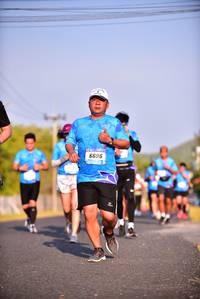 BIB: 6696
                            <button type="button" onclick="openModal(3098753)" class="btn btn-primary btn-sm float-right btn-popup" data-toggle="modal" data-target=".modal-high-quality">
                        <i class="fas fa-shopping-cart"></i> Add to Cart
                    </button>
                                            <button type="button" onclick="isThisMe(3098753, true)" class="btn btn-success btn-sm float-right btn-popup btn-isme hidden" data-toggle="tooltip" data-placement="bottom" title="นี่คือรูปของคุณใช่ไหม คลิกที่นี่เพื่อเอาเข้าอัลบั้ม">
                        <i class="fas fa-plus"></i> Add to album
                    </button>
                    <button type="button" onclick="isThisMe(3098753, false)" class="btn btn-warning btn-sm float-right btn-popup btn-isnotme hidden">
                        <i class="fas fa-ban"></i> Remove from album
                    </button>