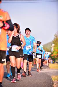 BIB: 6406
                            <button type="button" onclick="openModal(3100203)" class="btn btn-primary btn-sm float-right btn-popup" data-toggle="modal" data-target=".modal-high-quality">
                        <i class="fas fa-shopping-cart"></i> Add to Cart
                    </button>
                                            <button type="button" onclick="isThisMe(3100203, true)" class="btn btn-success btn-sm float-right btn-popup btn-isme hidden" data-toggle="tooltip" data-placement="bottom" title="นี่คือรูปของคุณใช่ไหม คลิกที่นี่เพื่อเอาเข้าอัลบั้ม">
                        <i class="fas fa-plus"></i> Add to album
                    </button>
                    <button type="button" onclick="isThisMe(3100203, false)" class="btn btn-warning btn-sm float-right btn-popup btn-isnotme hidden">
                        <i class="fas fa-ban"></i> Remove from album
                    </button>