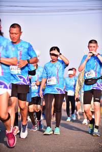 BIB: 653, 6573, 6572
                            <button type="button" onclick="openModal(3100977)" class="btn btn-primary btn-sm float-right btn-popup" data-toggle="modal" data-target=".modal-high-quality">
                        <i class="fas fa-shopping-cart"></i> Add to Cart
                    </button>
                                            <button type="button" onclick="isThisMe(3100977, true)" class="btn btn-success btn-sm float-right btn-popup btn-isme hidden" data-toggle="tooltip" data-placement="bottom" title="นี่คือรูปของคุณใช่ไหม คลิกที่นี่เพื่อเอาเข้าอัลบั้ม">
                        <i class="fas fa-plus"></i> Add to album
                    </button>
                    <button type="button" onclick="isThisMe(3100977, false)" class="btn btn-warning btn-sm float-right btn-popup btn-isnotme hidden">
                        <i class="fas fa-ban"></i> Remove from album
                    </button>