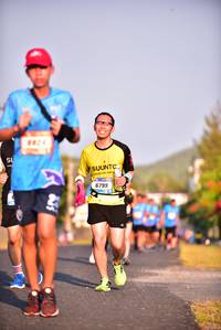 BIB: 6799
                            <button type="button" onclick="openModal(3106260)" class="btn btn-primary btn-sm float-right btn-popup" data-toggle="modal" data-target=".modal-high-quality">
                        <i class="fas fa-shopping-cart"></i> Add to Cart
                    </button>
                                            <button type="button" onclick="isThisMe(3106260, true)" class="btn btn-success btn-sm float-right btn-popup btn-isme hidden" data-toggle="tooltip" data-placement="bottom" title="นี่คือรูปของคุณใช่ไหม คลิกที่นี่เพื่อเอาเข้าอัลบั้ม">
                        <i class="fas fa-plus"></i> Add to album
                    </button>
                    <button type="button" onclick="isThisMe(3106260, false)" class="btn btn-warning btn-sm float-right btn-popup btn-isnotme hidden">
                        <i class="fas fa-ban"></i> Remove from album
                    </button>