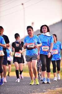 BIB: 8883, 8204, 9142, 384
                            <button type="button" onclick="openModal(3114473)" class="btn btn-primary btn-sm float-right btn-popup" data-toggle="modal" data-target=".modal-high-quality">
                        <i class="fas fa-shopping-cart"></i> Add to Cart
                    </button>
                                            <button type="button" onclick="isThisMe(3114473, true)" class="btn btn-success btn-sm float-right btn-popup btn-isme hidden" data-toggle="tooltip" data-placement="bottom" title="นี่คือรูปของคุณใช่ไหม คลิกที่นี่เพื่อเอาเข้าอัลบั้ม">
                        <i class="fas fa-plus"></i> Add to album
                    </button>
                    <button type="button" onclick="isThisMe(3114473, false)" class="btn btn-warning btn-sm float-right btn-popup btn-isnotme hidden">
                        <i class="fas fa-ban"></i> Remove from album
                    </button>