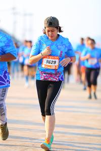 BIB: 9629
                            <button type="button" onclick="openModal(3108922)" class="btn btn-primary btn-sm float-right btn-popup" data-toggle="modal" data-target=".modal-high-quality">
                        <i class="fas fa-shopping-cart"></i> Add to Cart
                    </button>
                                            <button type="button" onclick="isThisMe(3108922, true)" class="btn btn-success btn-sm float-right btn-popup btn-isme hidden" data-toggle="tooltip" data-placement="bottom" title="นี่คือรูปของคุณใช่ไหม คลิกที่นี่เพื่อเอาเข้าอัลบั้ม">
                        <i class="fas fa-plus"></i> Add to album
                    </button>
                    <button type="button" onclick="isThisMe(3108922, false)" class="btn btn-warning btn-sm float-right btn-popup btn-isnotme hidden">
                        <i class="fas fa-ban"></i> Remove from album
                    </button>