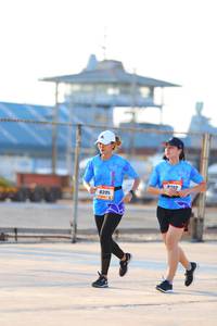 BIB: 392, 8395
                            <button type="button" onclick="openModal(3110148)" class="btn btn-primary btn-sm float-right btn-popup" data-toggle="modal" data-target=".modal-high-quality">
                        <i class="fas fa-shopping-cart"></i> Add to Cart
                    </button>
                                            <button type="button" onclick="isThisMe(3110148, true)" class="btn btn-success btn-sm float-right btn-popup btn-isme hidden" data-toggle="tooltip" data-placement="bottom" title="นี่คือรูปของคุณใช่ไหม คลิกที่นี่เพื่อเอาเข้าอัลบั้ม">
                        <i class="fas fa-plus"></i> Add to album
                    </button>
                    <button type="button" onclick="isThisMe(3110148, false)" class="btn btn-warning btn-sm float-right btn-popup btn-isnotme hidden">
                        <i class="fas fa-ban"></i> Remove from album
                    </button>